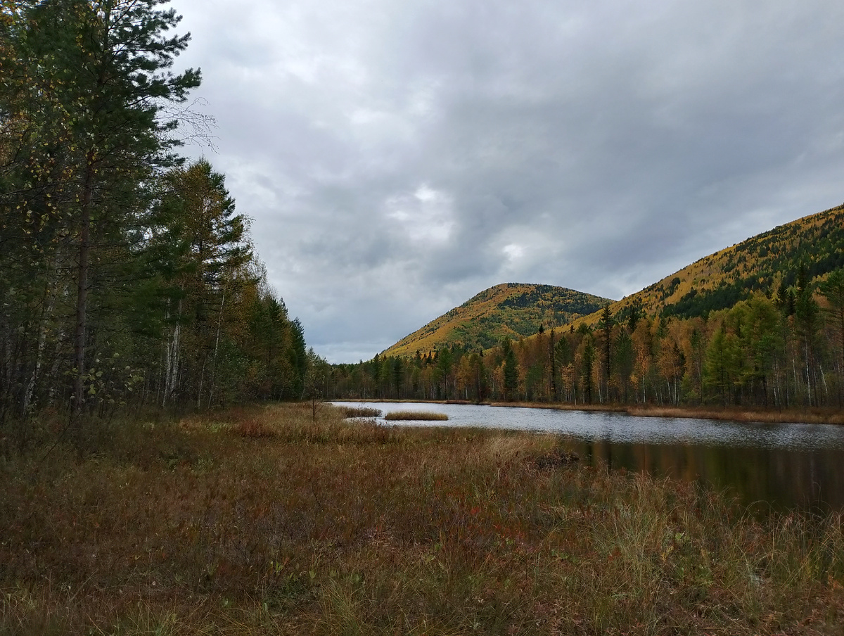 Иркутская область Мамско - Чуйский район.Фото 📷 автора.