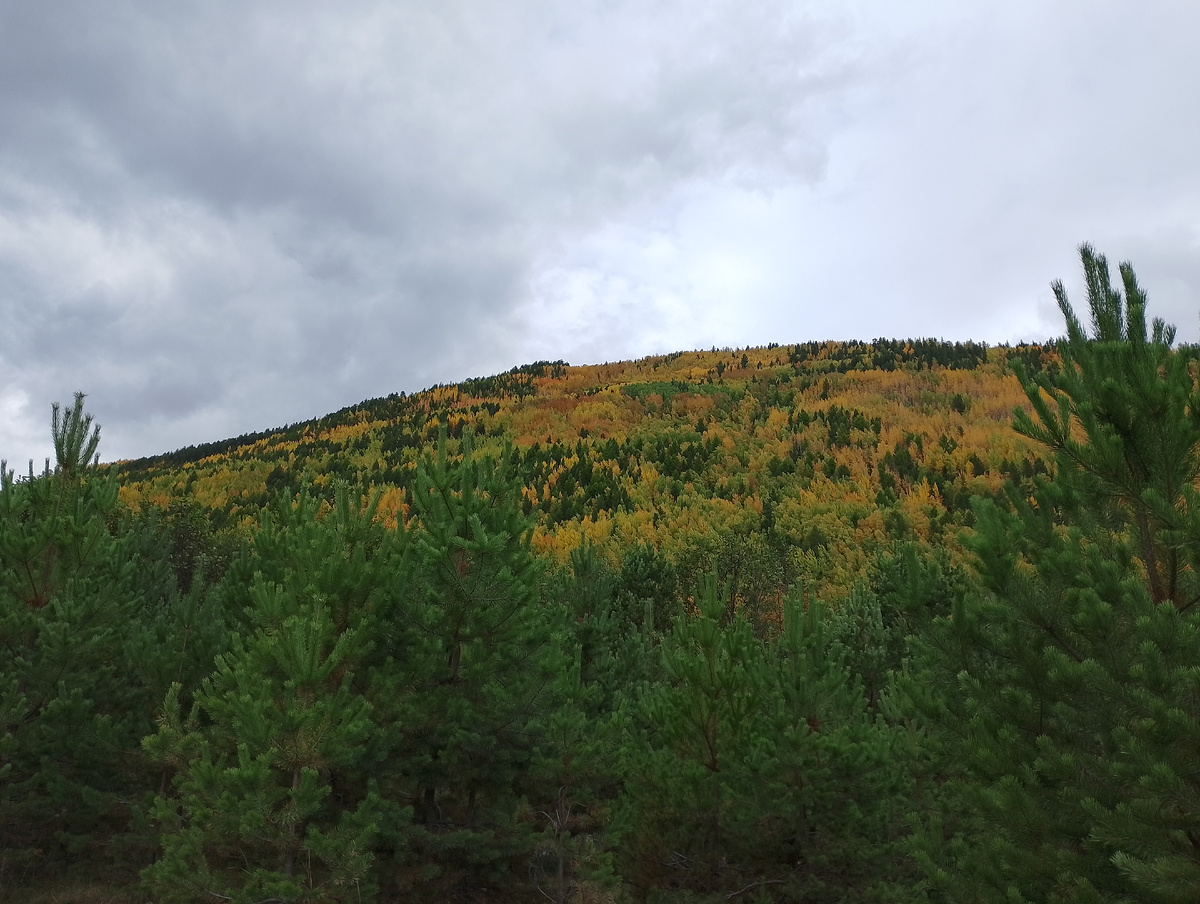 Фото 📷 автора.