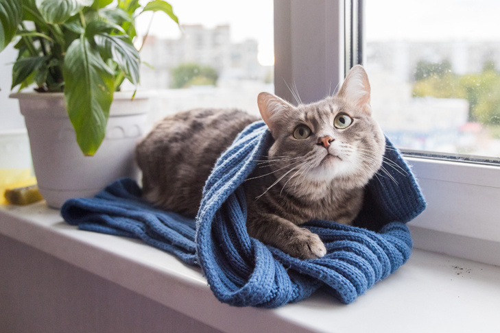    Фото Андрея Заржецкого