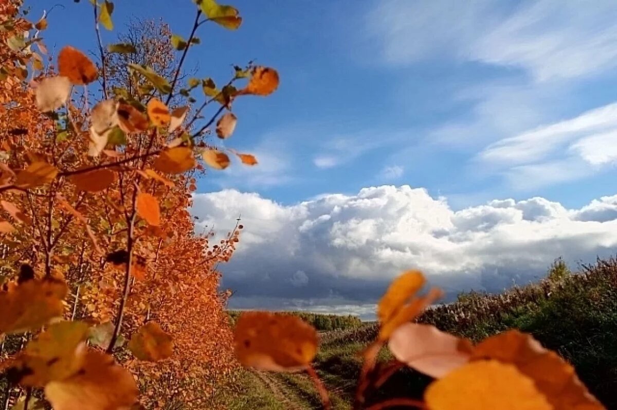    До +21 градуса поднимутся столбики термометров на Урале на этой неделе