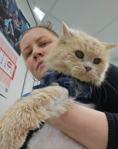 Бубусик в клинике