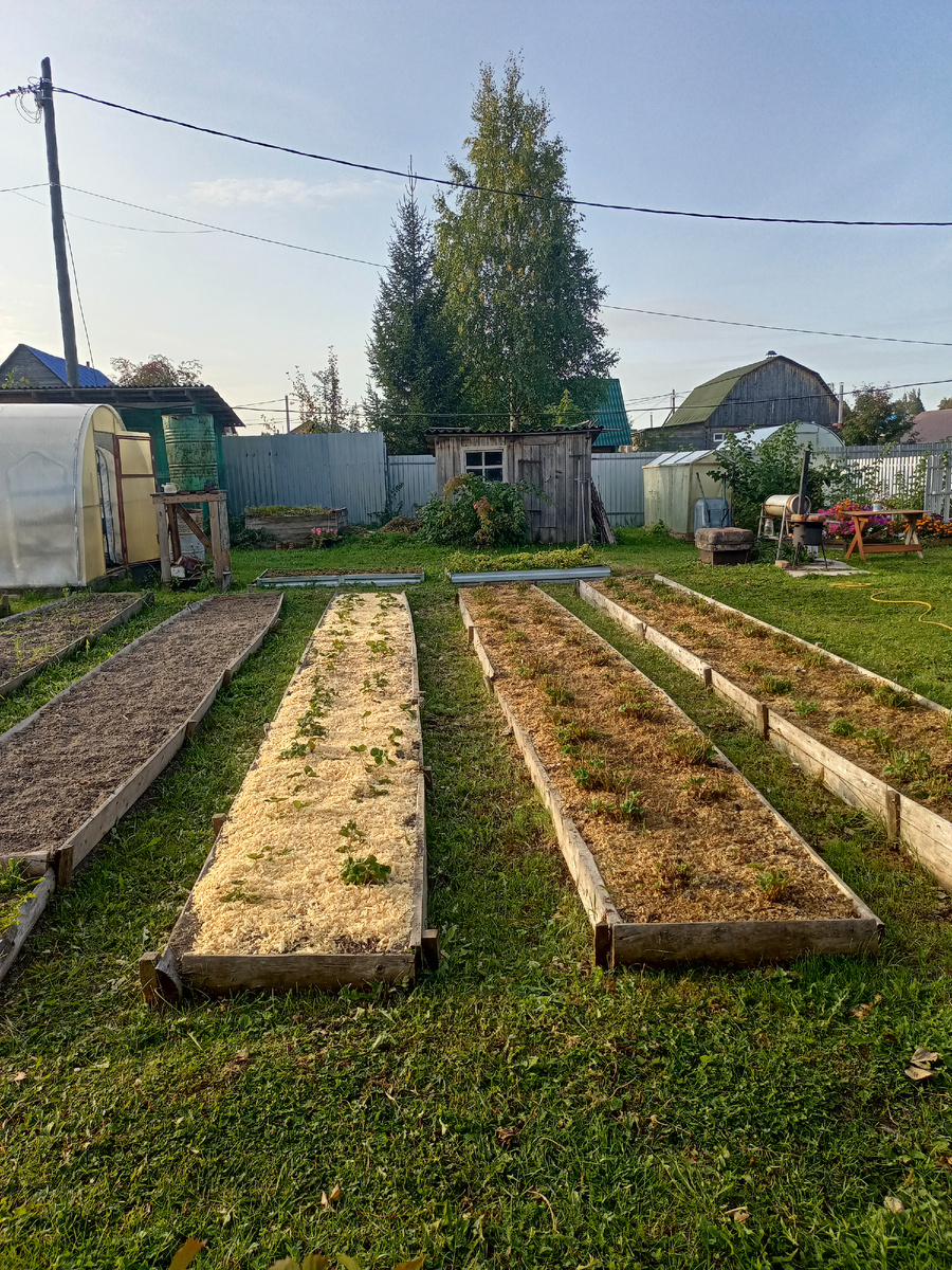 Я так горжусь собой, что разобралась с клубникой!