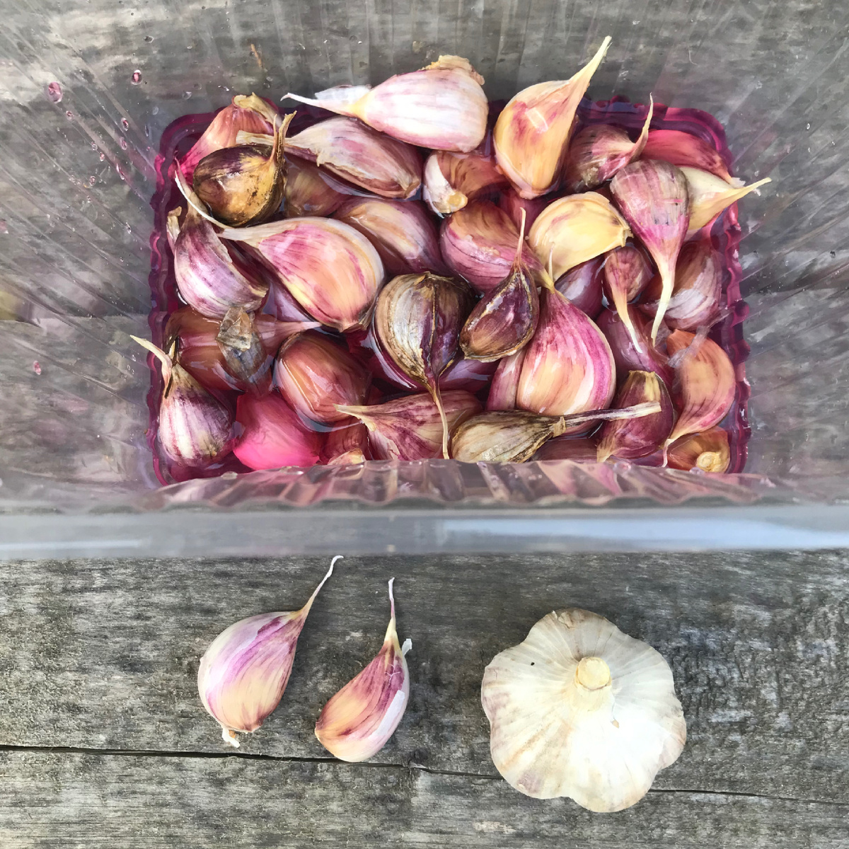 Замачиваю чеснок в слабом растворе марганцовки