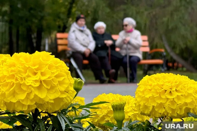 Перерасчет пенсий сделают автоматически на основании обновленных окладов в беззаявительном порядке. Фото: Екатерина Сычкова © URA.RU