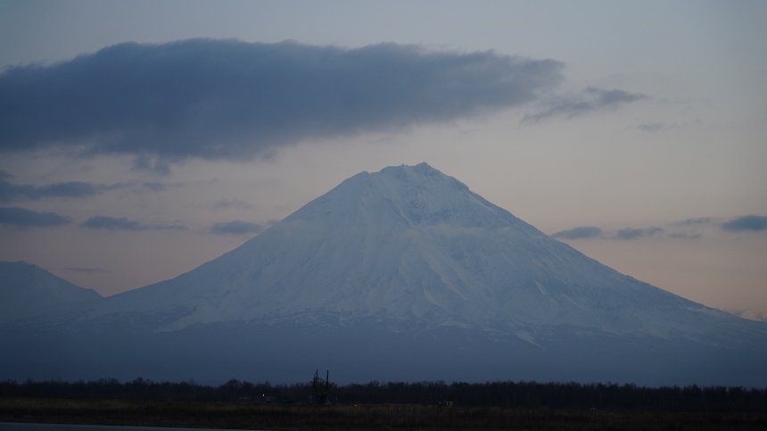    Фото: ИЗВЕСТИЯ/Дмитрий Коротаев