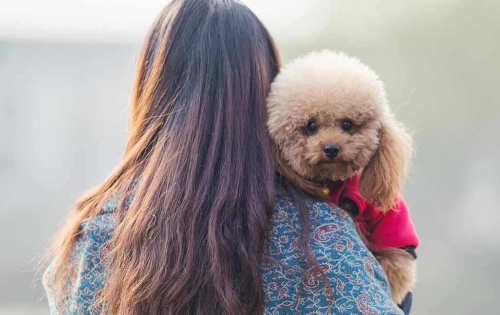 Фото для примера. Из свободных источников