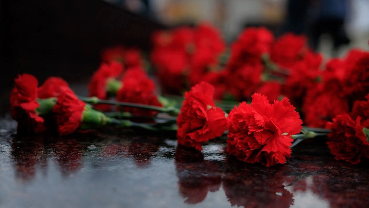    Фото: Юлия Чудинова / «Ямал-Медиа»