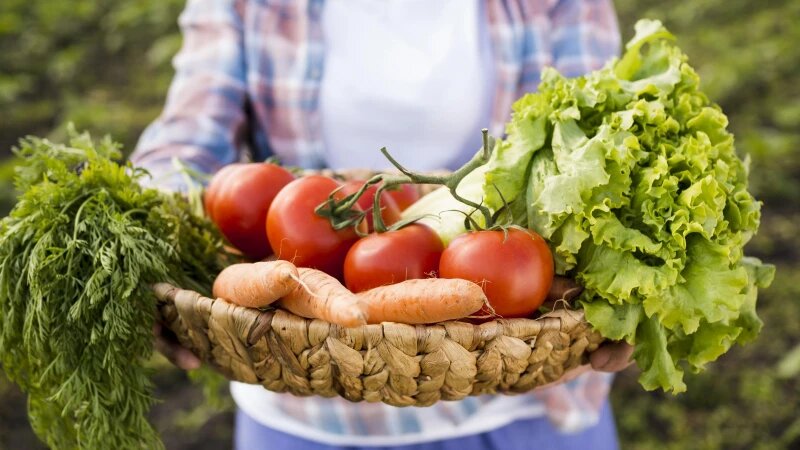     Урожай. freepik.com/freepik