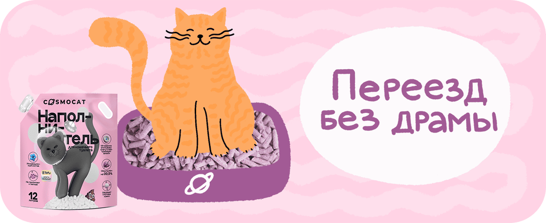 Мягкая посадка: как подружить кошку с новым наполнителем — легко и без нервов