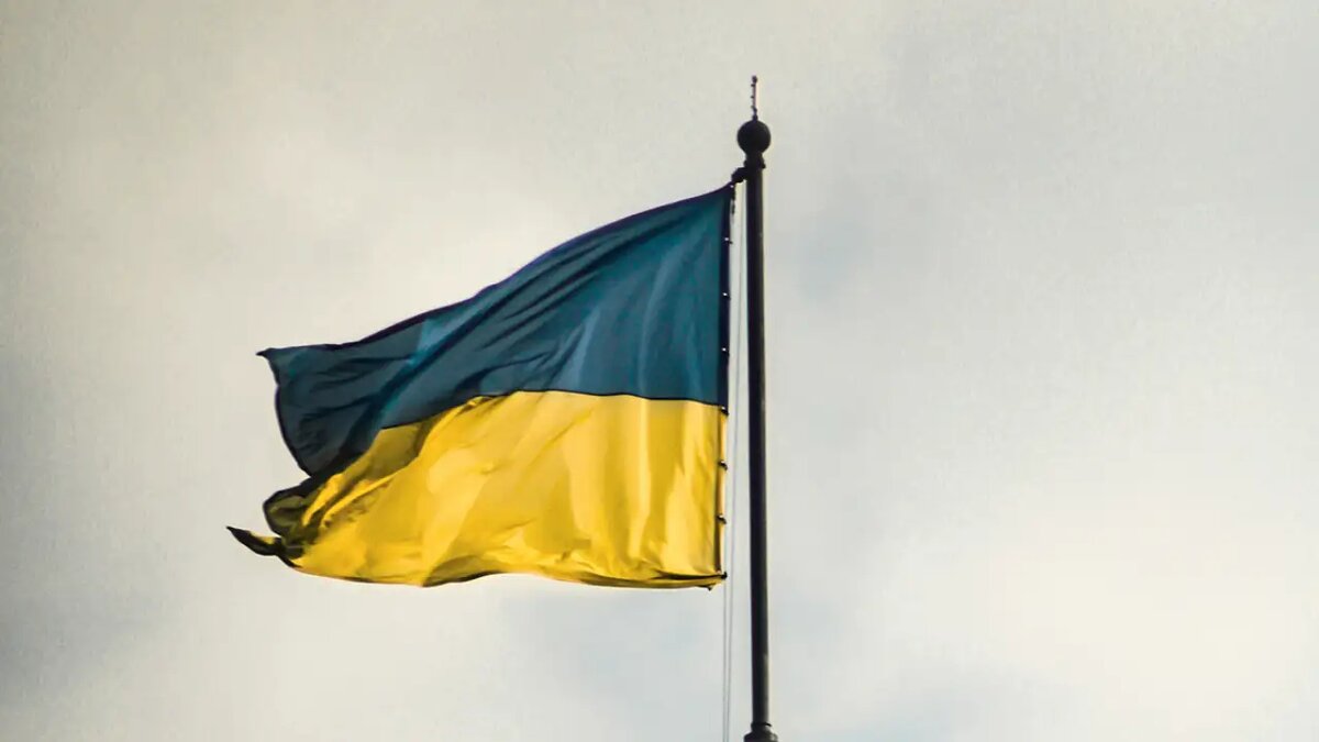     © unsplash.com/Nastia Petruk