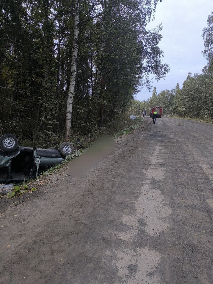    Фото: "Телеграм"-канал Государственного комитета Республики Карелия по обеспечению жизнедеятельности и безопасности населения