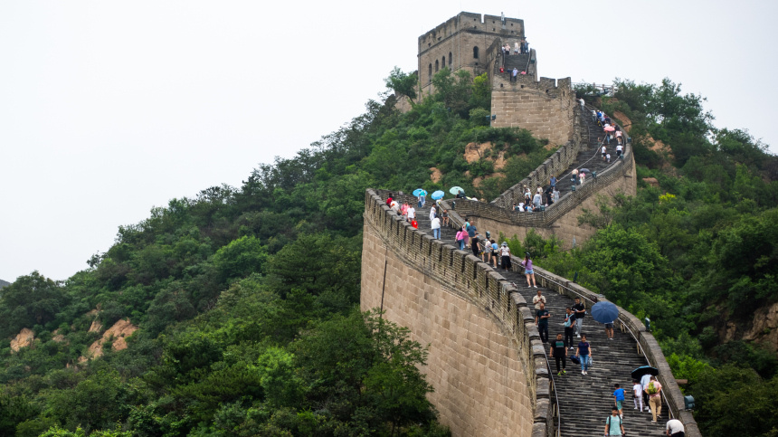    Фото: © РИА Новости/Анна Раткогло; 5-tv.ru