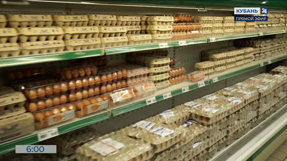    Видео канала «Кубань 24»