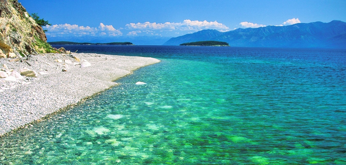 Картинка найдена на просторах интернета, ссылка https://yandex.ru/images/search?from=tabbar&img_url=https%3A%2F%2Fi.pinimg.com%2Foriginals%2Fa8%2F34%2F3f%2Fa83а43f81279b5e7bd53274cf0591a19.jpg&lr=47&pos=15&rpt=simage&text=%D1%86%D0%B2%D0%B5%D1%82%D1%8B%20%D0%BA%D1%80%D1%83%D0%BF%D0%BD%D0%BE%20%D1%84%D0%BE%D1%82%D0%BE