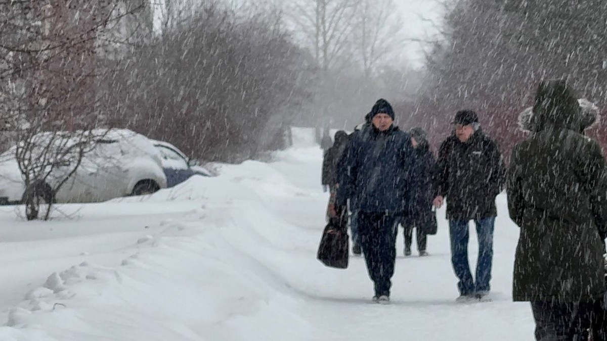    Зима-2025 будет аномальной: синоптики рассказали, к чему готовиться россиянам