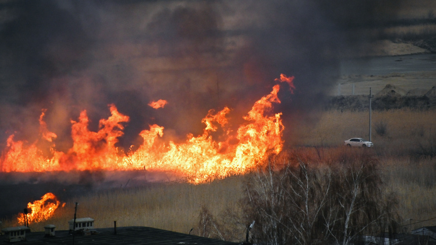    Фото: © РИА Новости/Алексей Мальгавко; 5-tv.ru