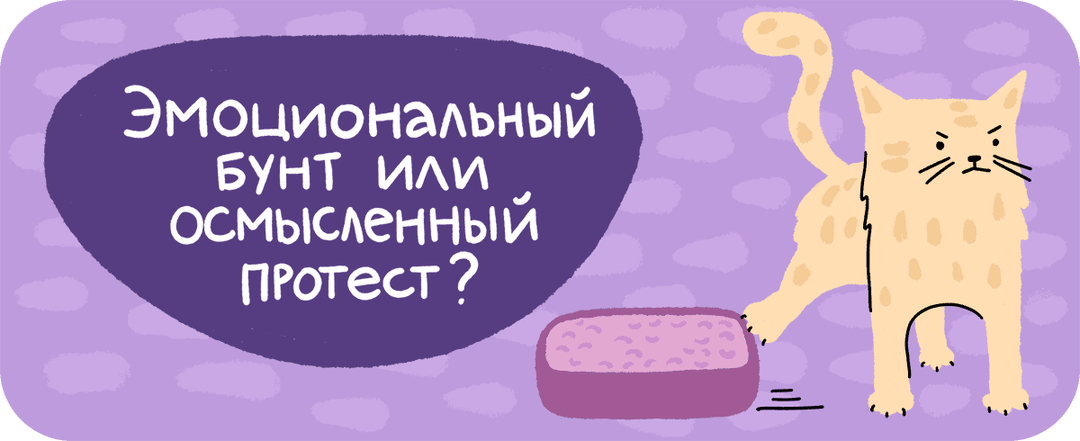 Эмоциональный бунт или осмысленный протест? Почему кошки игнорируют лоток