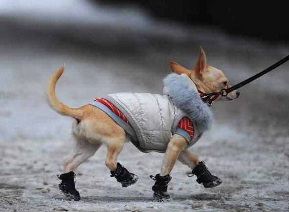 Изображение Freepik