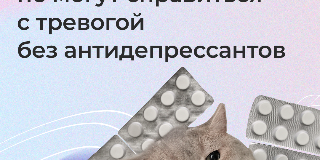 16% россиян не могут справиться с тревогой без антидепрессантов