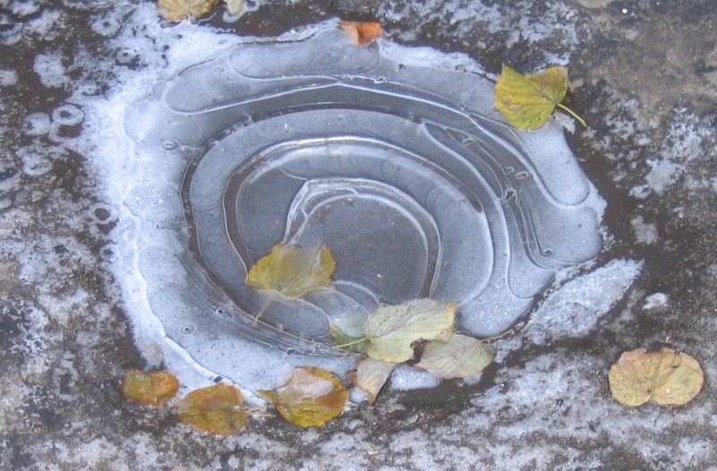 Изображение Freepik