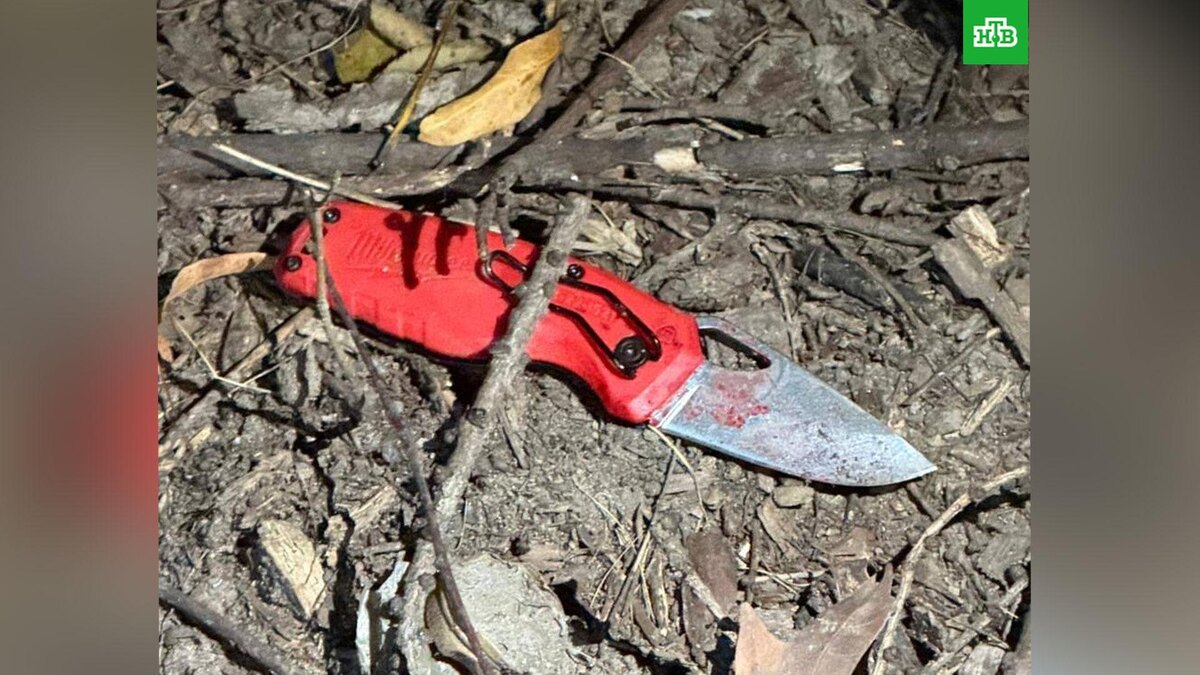    Фото: moscowproc / t.me