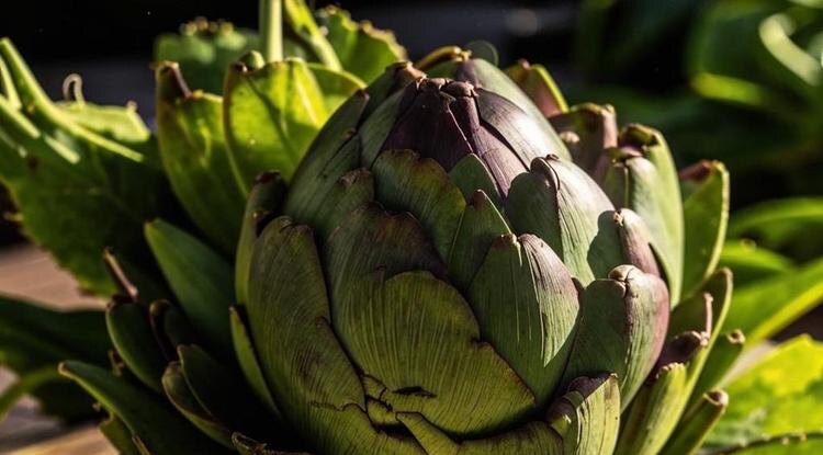 Фото: сгенерировано нейросетью Kandinsky