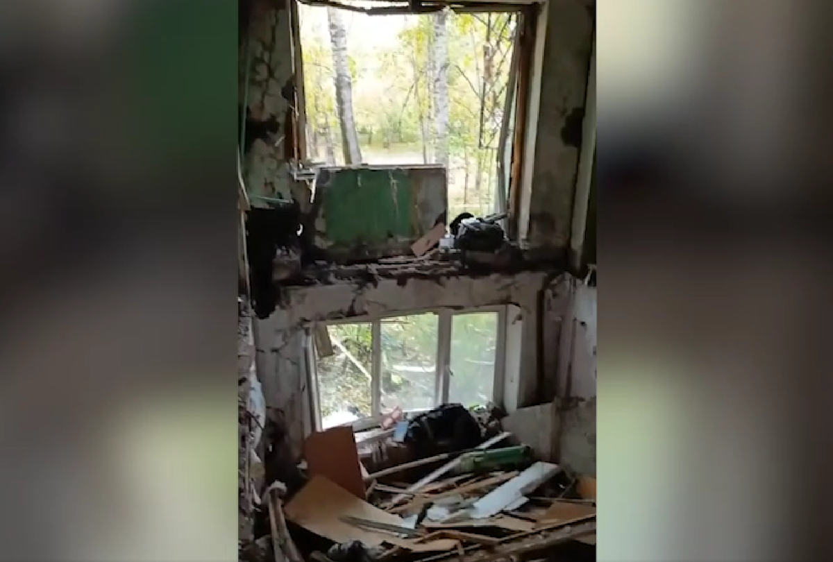     / Источник: Кадр из видео