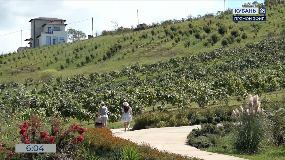    Видео канала «Кубань 24»