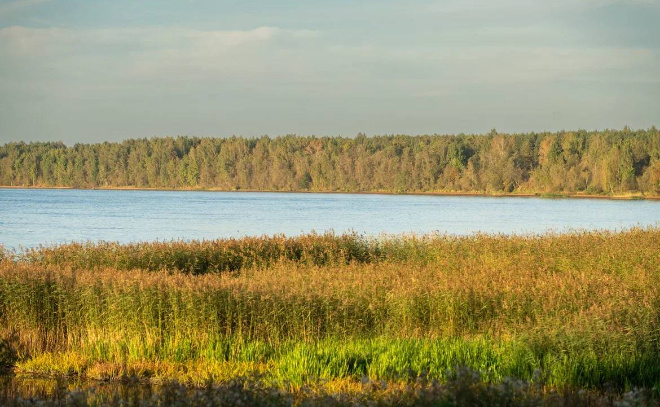    © Telegram / Александр ДроZденко