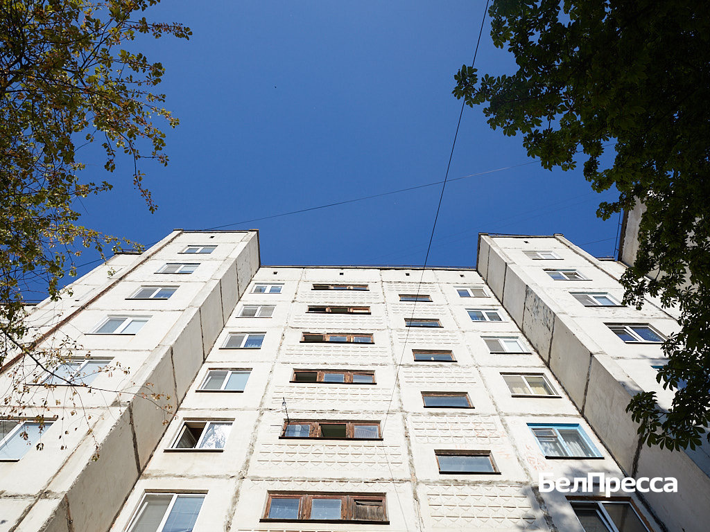 Фото: Елена Журавлёва