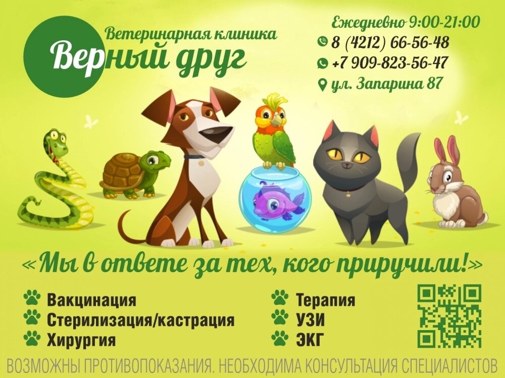   Ветеринарная клиника «Верный друг». Реклама. erid 2W5zFGs4dcC. ИП Борисов Е.С. ОГРНИП 323270000002388