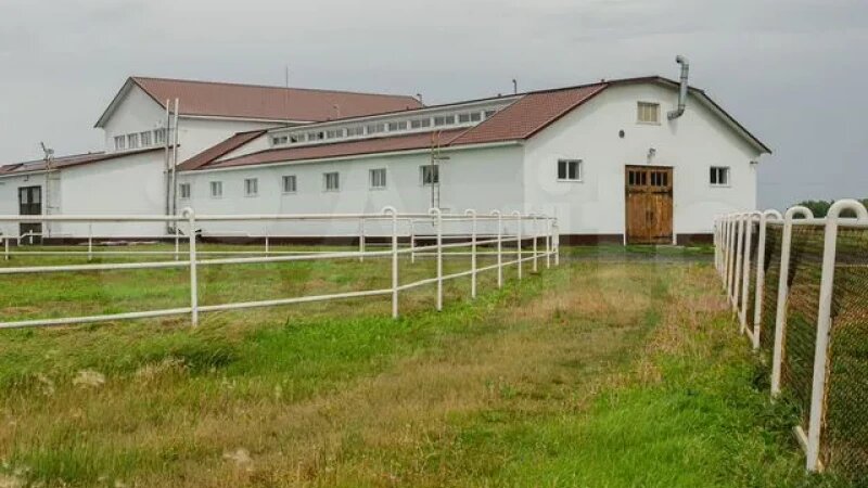     В Атайском крае продают участок на 7 тыс. соток. «Авито»