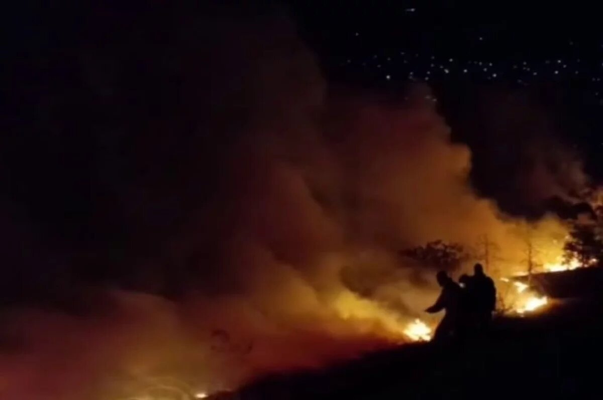    В п. Орджоникидзе под Феодосией локализовали природный пожар на 35 га
