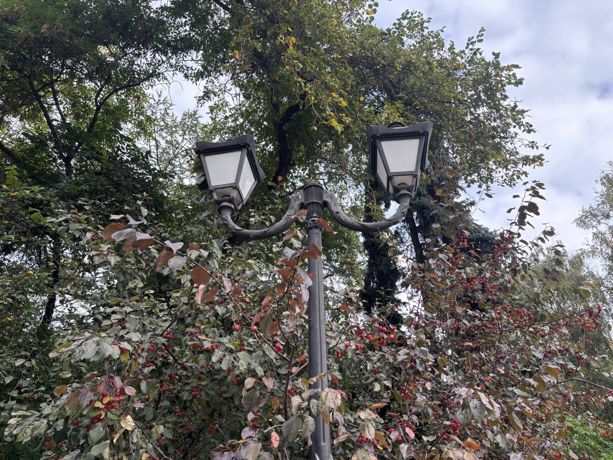 Свердловскую область накрыли кучевые облака и туманы.  Фото: Фото: ФедералПресс / Ольга Дружинина