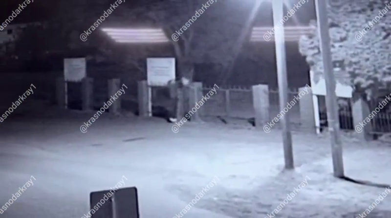    Фото: соцсети