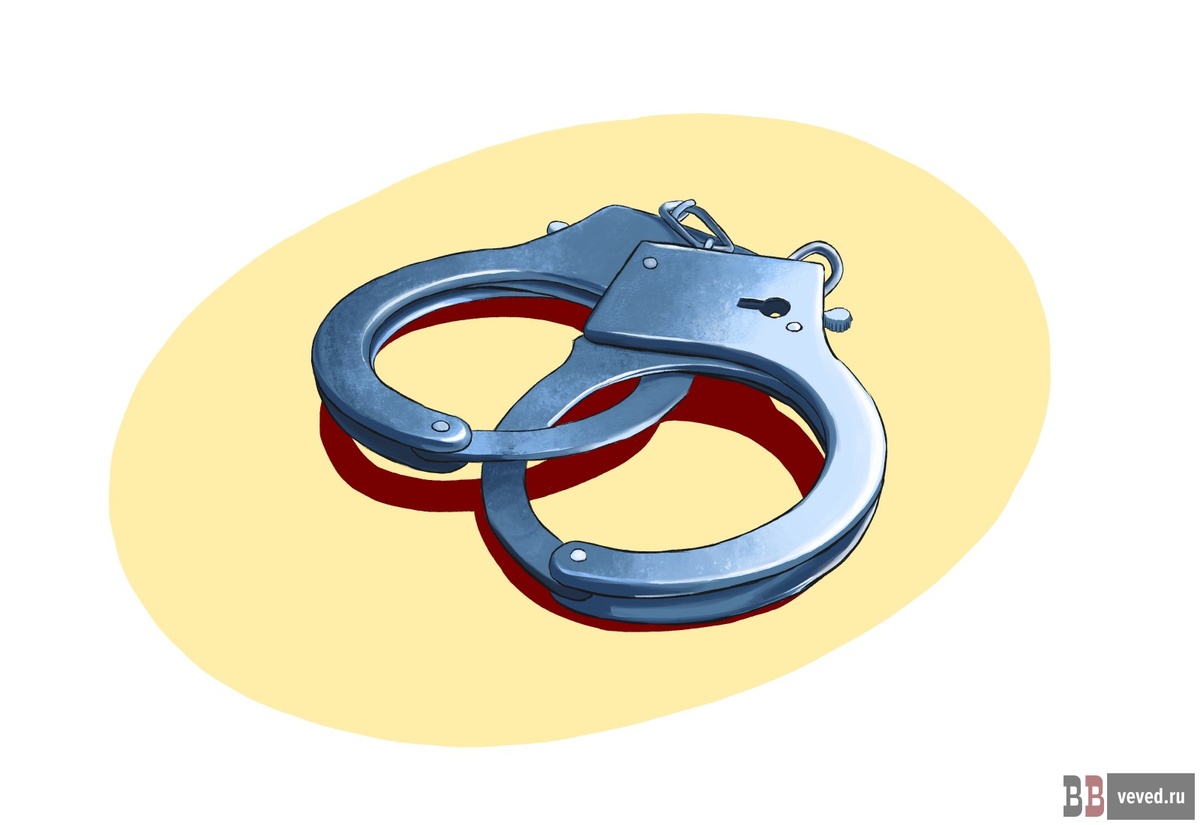     Иллюстрация: Юлия Медведева / Вечерние ведомости