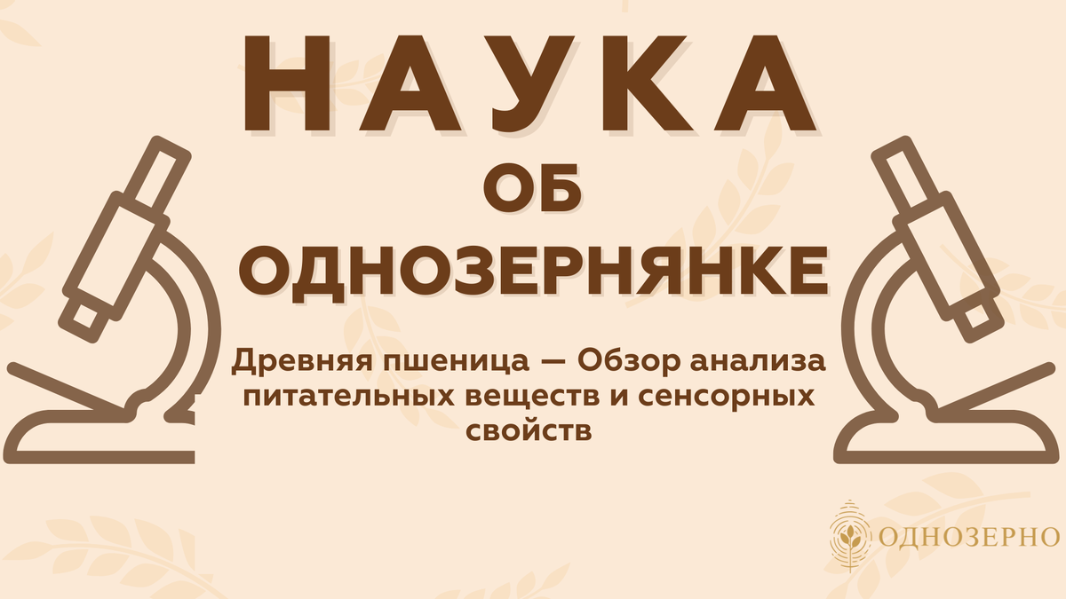 Статья была опубликована 19 июня 2023 года в журнале Foods. Оригинал статьи по ссылке https://www.mdpi.com/2304-8158/12/12/2411?utm_source=chatgpt.com 