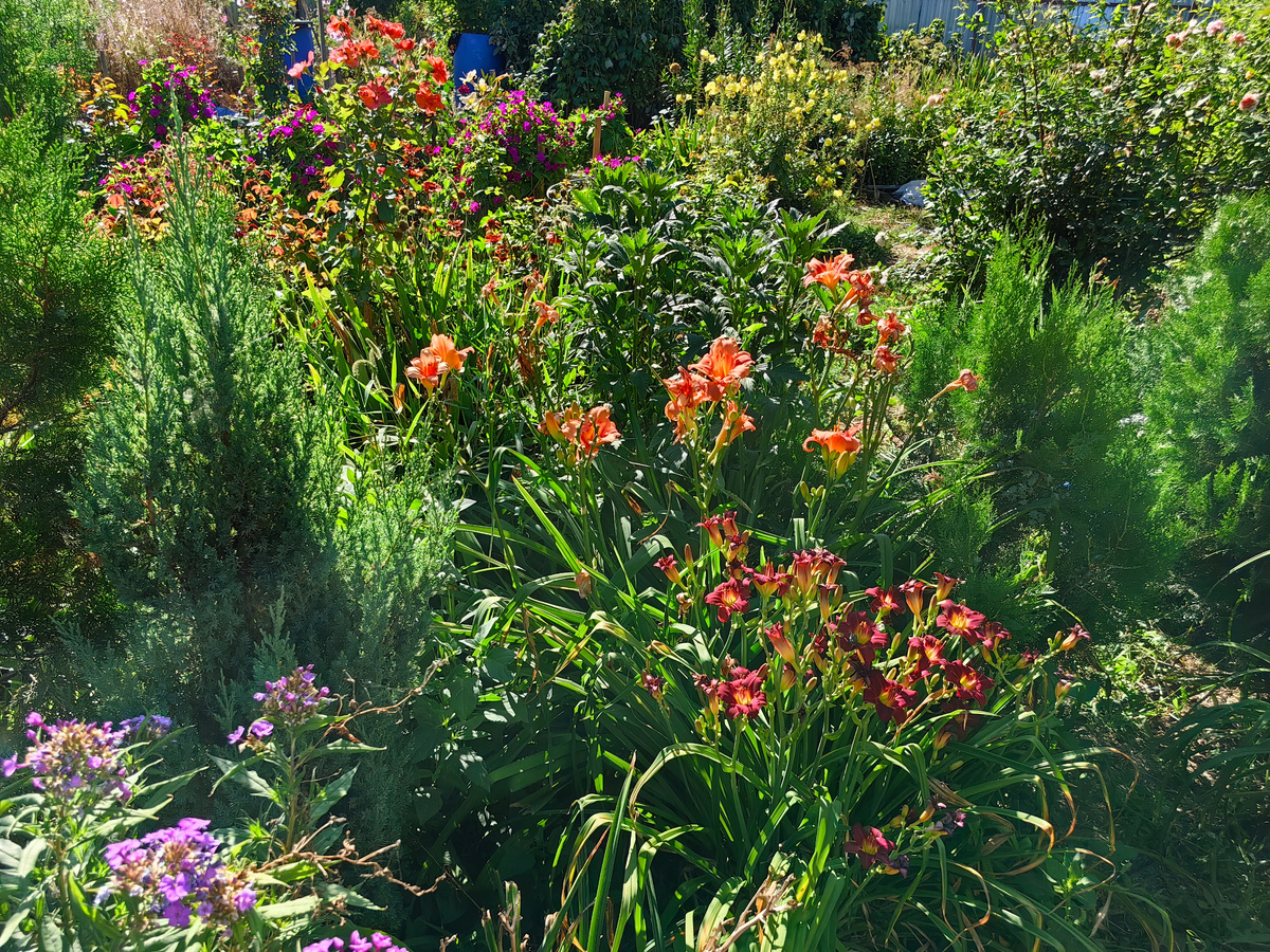 Фото Натальи Мироновой