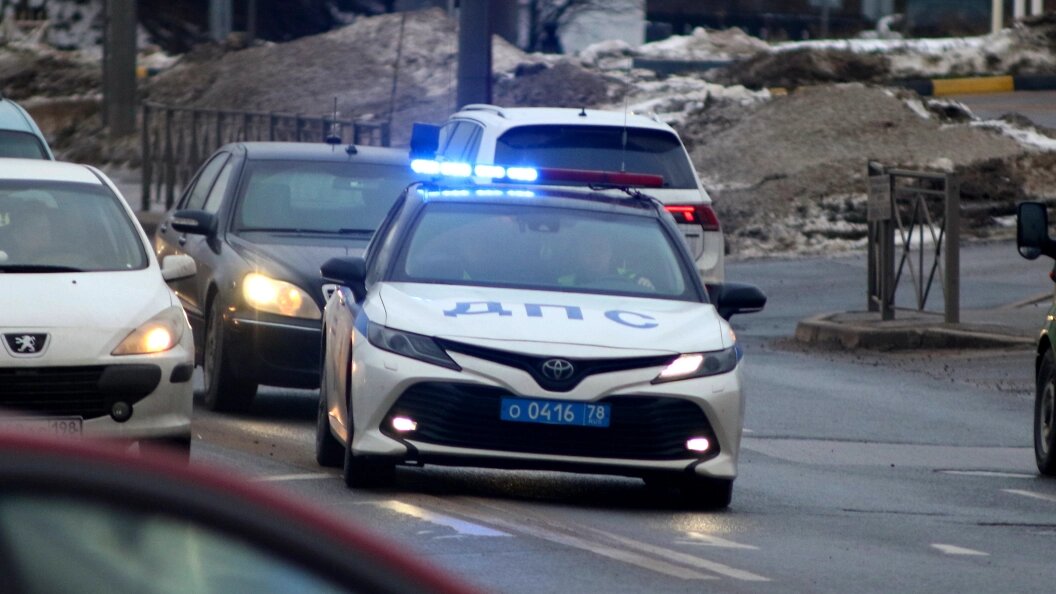    Фото: Максим Константинов/Globallookpress.