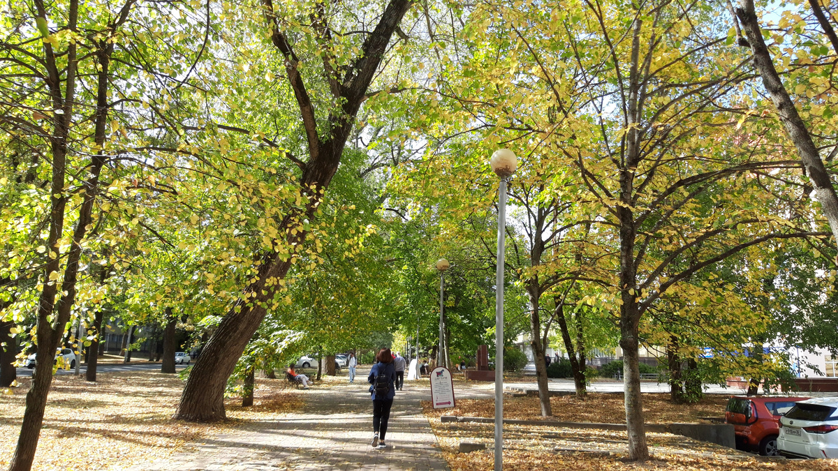 фотография автора