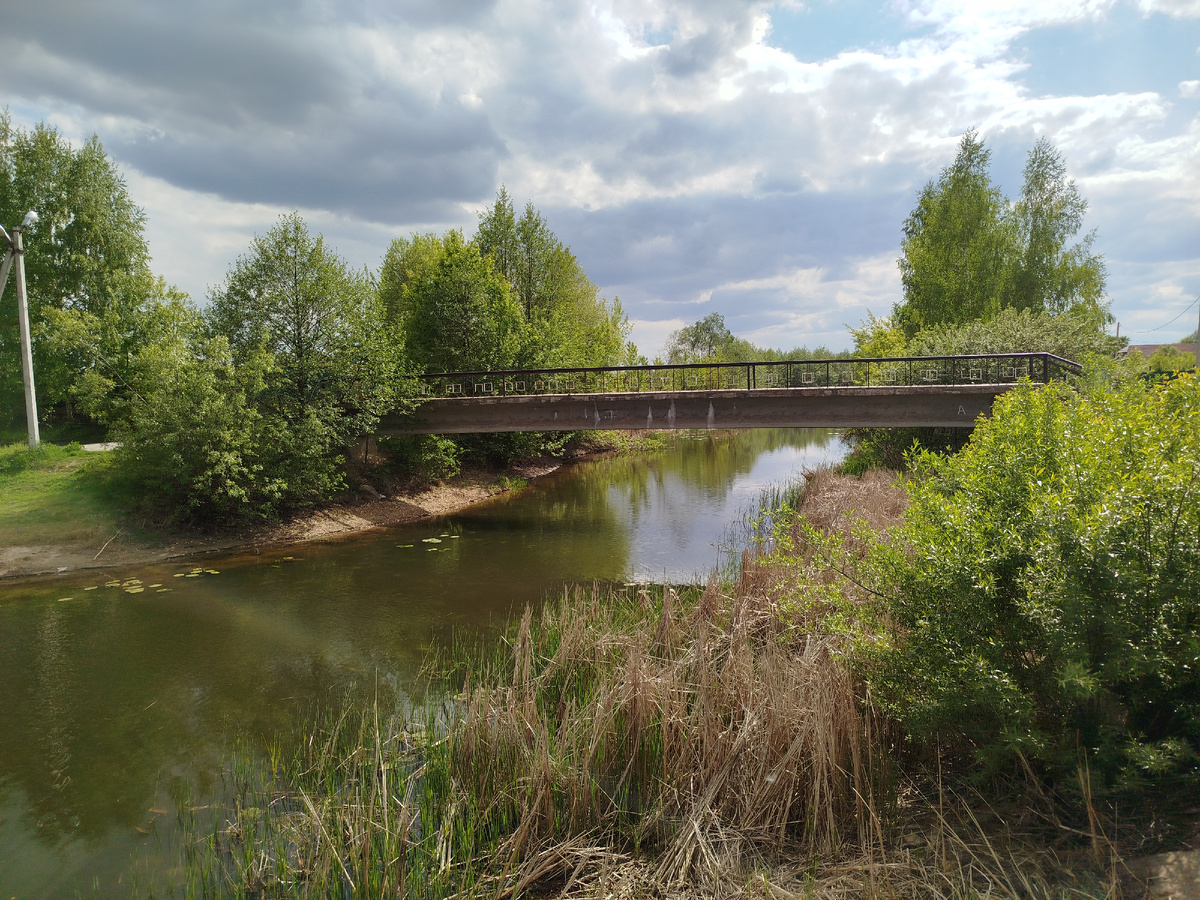 Старый мост через реку Воронеж