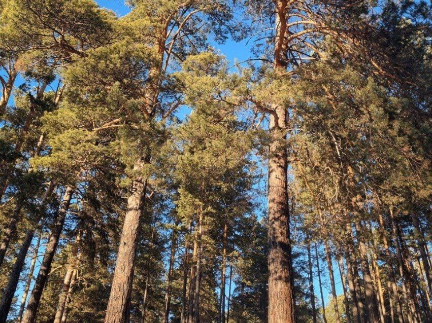    Фото: Пресс-служба правительства Забайкалья