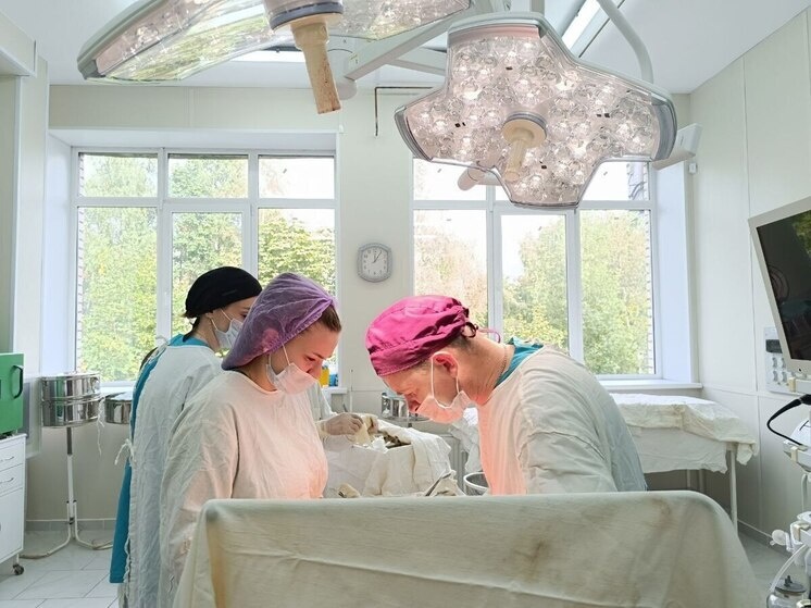     Грыжа живота даже не поместилась целиком в аппарат диагностики. Фото: telegram-канал Минздрава Новгородской области