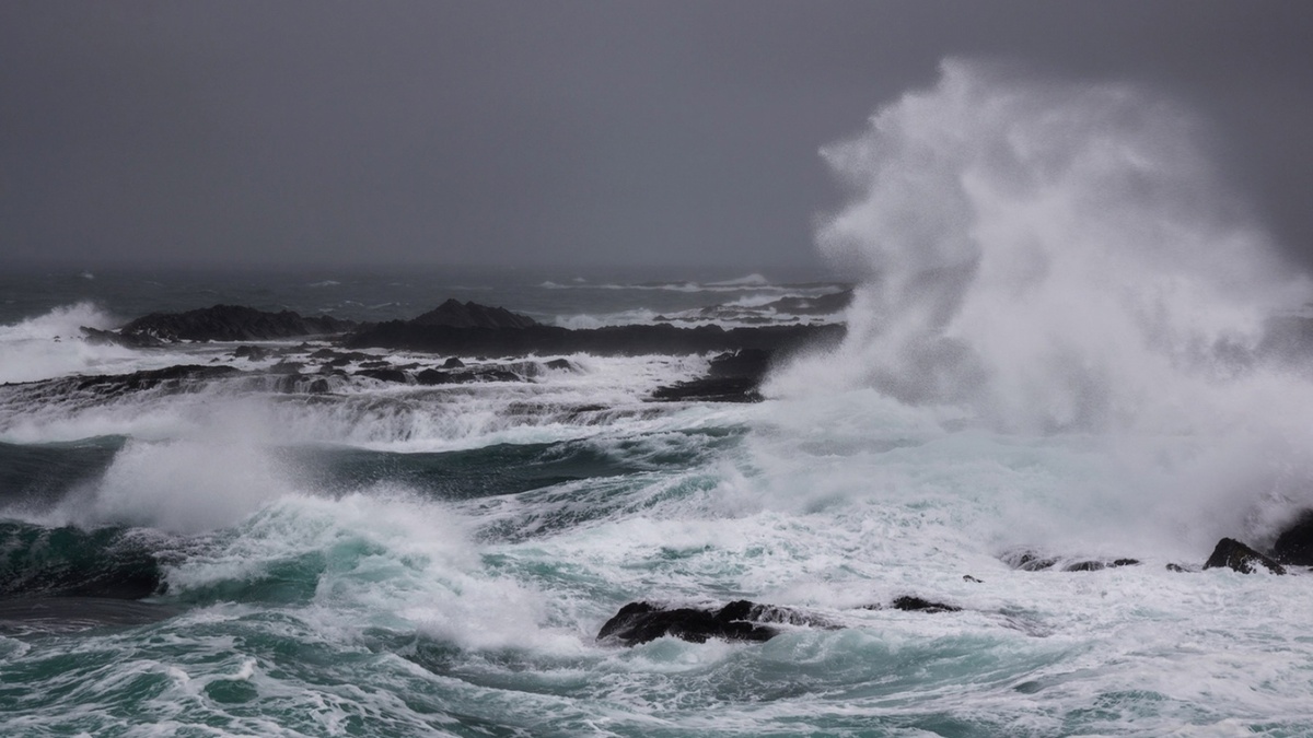 Источник фото:51.mchs.gov.ru