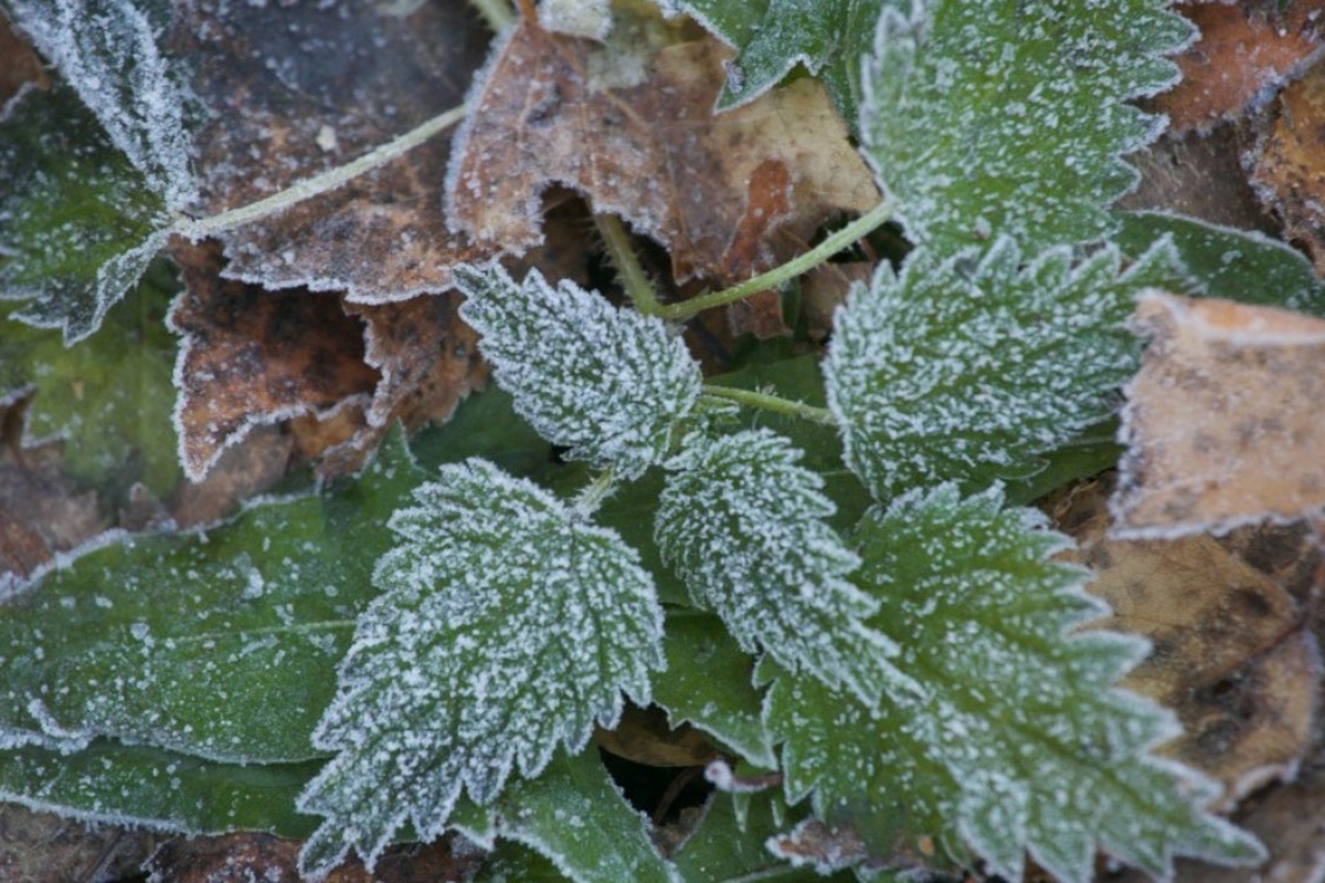    Фото: Денис Моргунов, источник: URA.RU