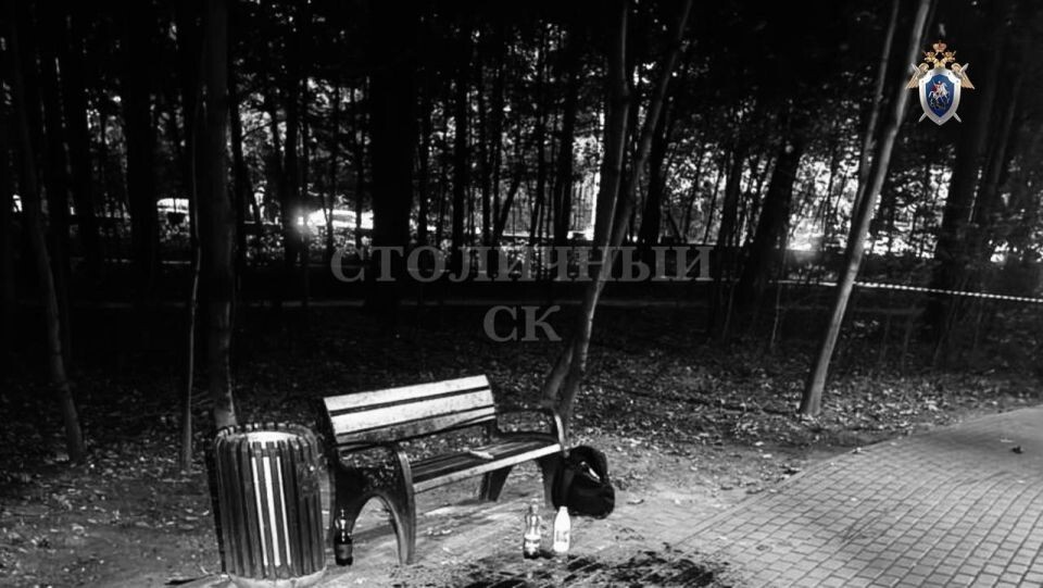    Труп нашли в московском парке. Источник: ГСУ СК России по Москве