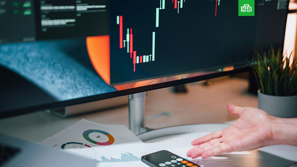    Фото: Jakub ?erdzicki / unsplash.com