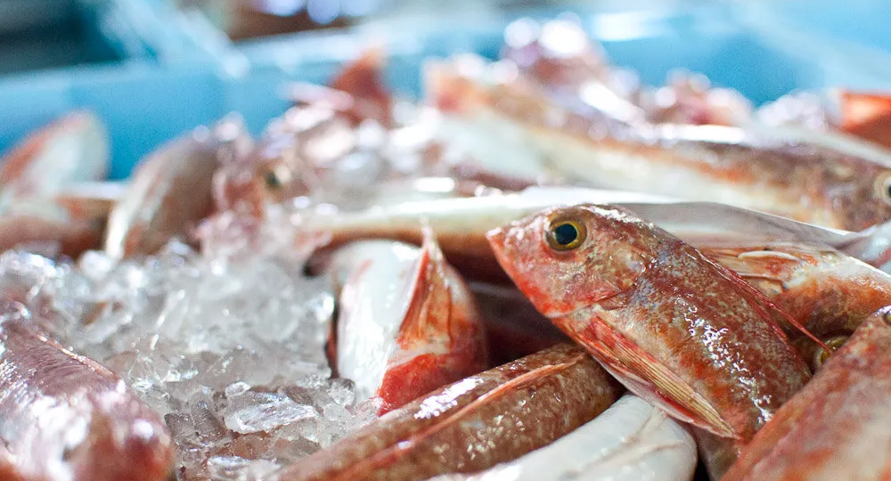 «Самый важный вопрос – как сделать так, чтобы рыбы стали есть больше»