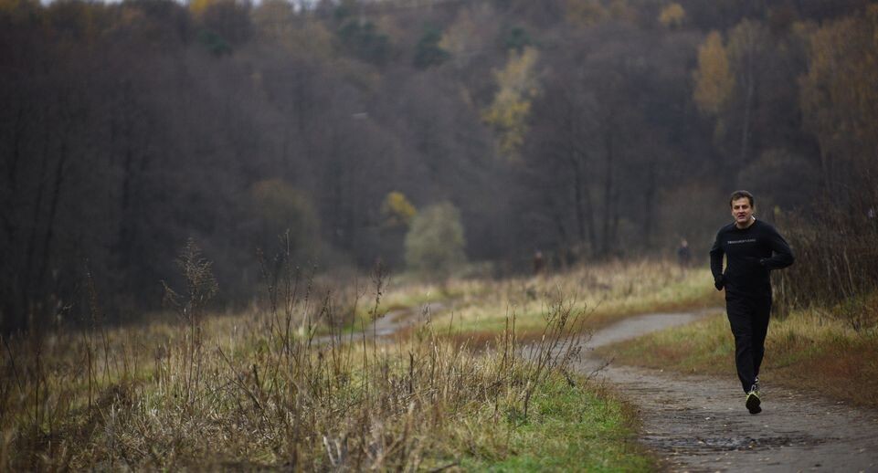    Медиасток.рф