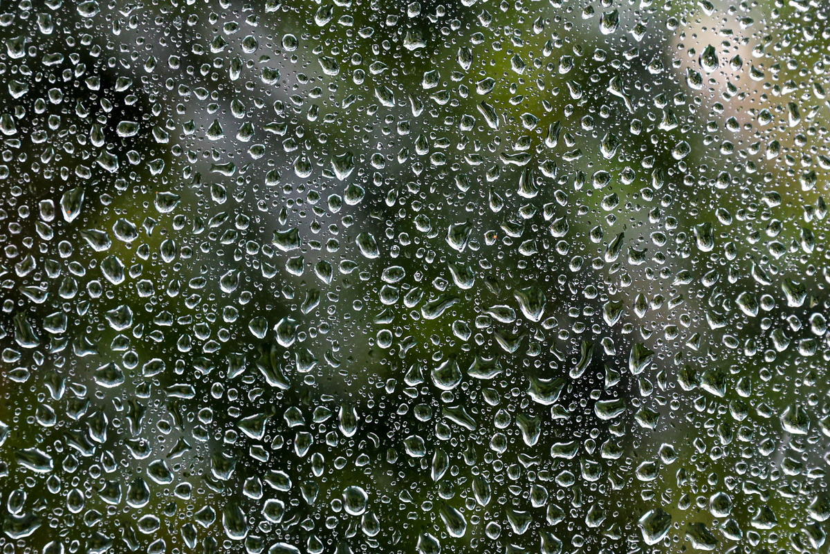 Дмитрий Фуфаев/«Петербургский дневник»
